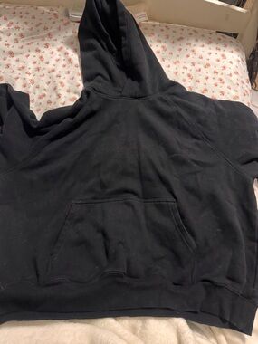 Aritzia hoodie